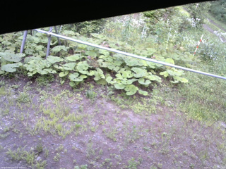 長野県菅平高原 ゆたか山荘 駐車場 2026/07/31 17:00