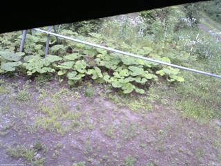 長野県菅平高原 ゆたか山荘 駐車場 2026/07/31 17:30