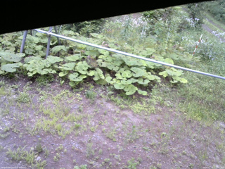 長野県菅平高原 ゆたか山荘 駐車場 2026/07/31 17:45