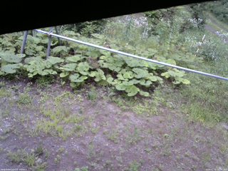 長野県菅平高原 ゆたか山荘 駐車場 2026/07/31 18:00