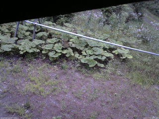 長野県菅平高原 ゆたか山荘 駐車場 2026/07/31 18:45