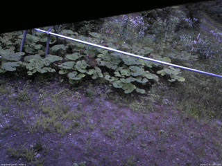 長野県菅平高原 ゆたか山荘 駐車場 2026/07/31 19:00