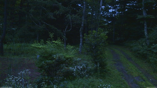 長野県菅平高原 ゆたか山荘 坂上 2026/07/31 05:00