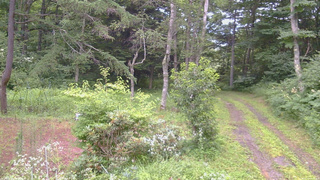 長野県菅平高原 ゆたか山荘 坂上 2026/07/31 05:45