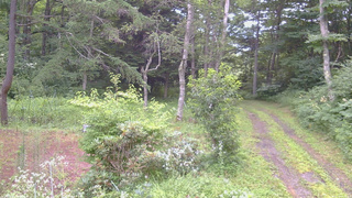 長野県菅平高原 ゆたか山荘 坂上 2026/07/31 06:15