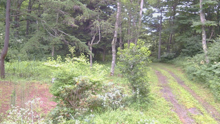 長野県菅平高原 ゆたか山荘 坂上 2026/07/31 06:45