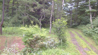長野県菅平高原 ゆたか山荘 坂上 2026/07/31 07:00