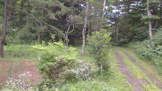 長野県菅平高原 ゆたか山荘 坂上 2026/07/31 07:15