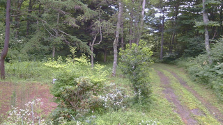 長野県菅平高原 ゆたか山荘 坂上 2026/07/31 07:30