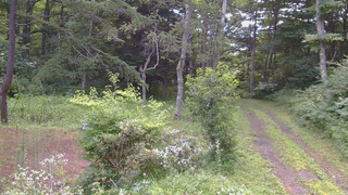 長野県菅平高原 ゆたか山荘 坂上 2026/07/31 07:45