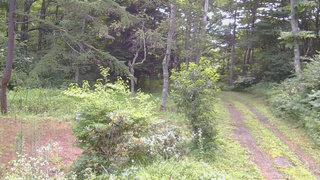 長野県菅平高原 ゆたか山荘 坂上 2026/07/31 08:15