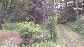 長野県菅平高原 ゆたか山荘 坂上 2026/07/31 08:30