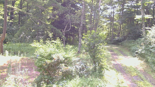 長野県菅平高原 ゆたか山荘 坂上 2026/07/31 08:45