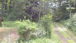 長野県菅平高原 ゆたか山荘 坂上 2026/07/31 09:00