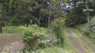 長野県菅平高原 ゆたか山荘 坂上 2026/07/31 09:15