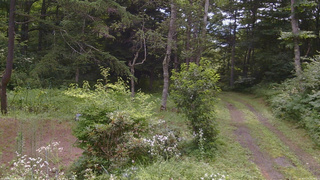 長野県菅平高原 ゆたか山荘 坂上 2026/07/31 09:30