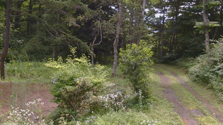 長野県菅平高原 ゆたか山荘 坂上 2026/07/31 09:45