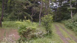 長野県菅平高原 ゆたか山荘 坂上 2026/07/31 10:00