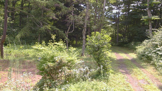 長野県菅平高原 ゆたか山荘 坂上 2026/07/31 10:15