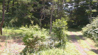 長野県菅平高原 ゆたか山荘 坂上 2026/07/31 10:30