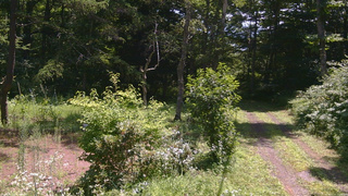 長野県菅平高原 ゆたか山荘 坂上 2026/07/31 10:45