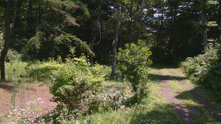 長野県菅平高原 ゆたか山荘 坂上 2026/07/31 11:30