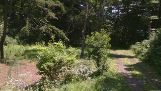 長野県菅平高原 ゆたか山荘 坂上 2026/07/31 11:45