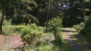 長野県菅平高原 ゆたか山荘 坂上 2026/07/31 12:00