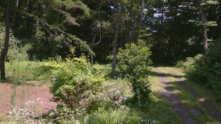 長野県菅平高原 ゆたか山荘 坂上 2026/07/31 12:15