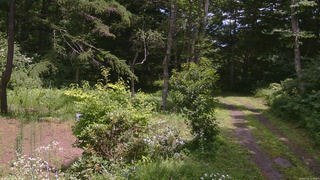 長野県菅平高原 ゆたか山荘 坂上 2026/07/31 12:30