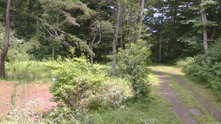 長野県菅平高原 ゆたか山荘 坂上 2026/07/31 12:45