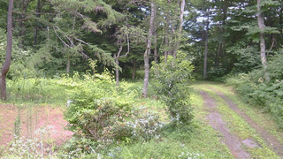 長野県菅平高原 ゆたか山荘 坂上 2026/07/31 13:00