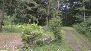 長野県菅平高原 ゆたか山荘 坂上 2026/07/31 13:15