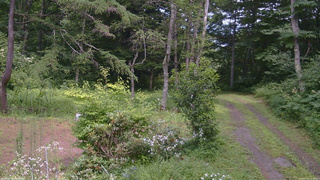 長野県菅平高原 ゆたか山荘 坂上 2026/07/31 13:30