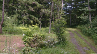 長野県菅平高原 ゆたか山荘 坂上 2026/07/31 13:45