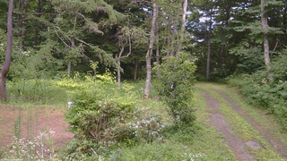 長野県菅平高原 ゆたか山荘 坂上 2026/07/31 14:00