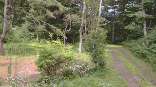 長野県菅平高原 ゆたか山荘 坂上 2026/07/31 14:15