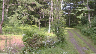 長野県菅平高原 ゆたか山荘 坂上 2026/07/31 14:30