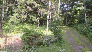 長野県菅平高原 ゆたか山荘 坂上 2026/07/31 14:45