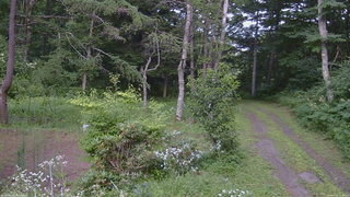 長野県菅平高原 ゆたか山荘 坂上 2026/07/31 15:00
