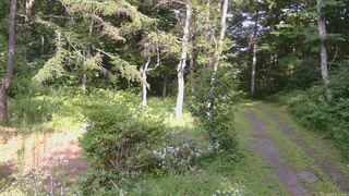 長野県菅平高原 ゆたか山荘 坂上 2026/07/31 15:15