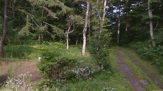 長野県菅平高原 ゆたか山荘 坂上 2026/07/31 15:30