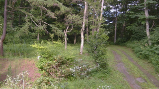 長野県菅平高原 ゆたか山荘 坂上 2026/07/31 15:45