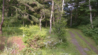 長野県菅平高原 ゆたか山荘 坂上 2026/07/31 16:00