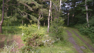 長野県菅平高原 ゆたか山荘 坂上 2026/07/31 16:15