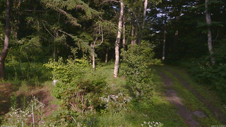 長野県菅平高原 ゆたか山荘 坂上 2026/07/31 16:30