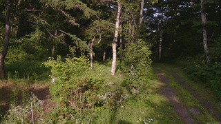 長野県菅平高原 ゆたか山荘 坂上 2026/07/31 16:45
