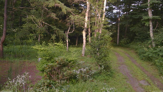 長野県菅平高原 ゆたか山荘 坂上 2026/07/31 17:15
