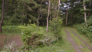 長野県菅平高原 ゆたか山荘 坂上 2026/07/31 17:30