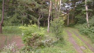 長野県菅平高原 ゆたか山荘 坂上 2026/07/31 17:45